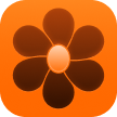 Saffron icon
